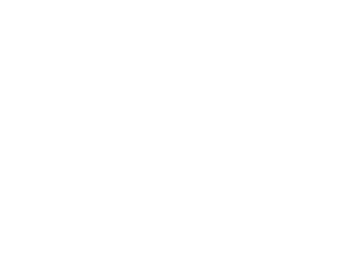 David Michael Photography