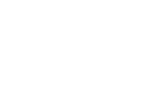 David Michael Photography